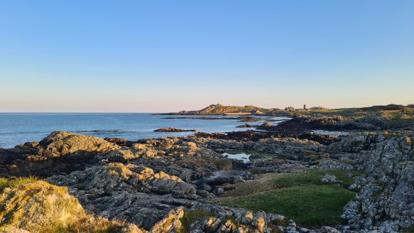 {{brizy_dc_image_alt imageSrc=