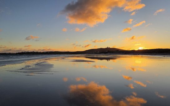 {{brizy_dc_image_alt imageSrc=